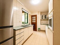 Hillview Park (D23), Condominium #562243211